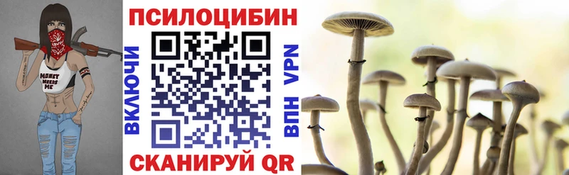 Псилоцибиновые грибы MAGIC MUSHROOMS  даркнет какой сайт  Шадринск 